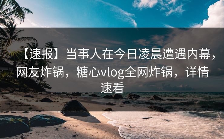 【速报】当事人在今日凌晨遭遇内幕，网友炸锅，糖心vlog全网炸锅，详情速看  第1张