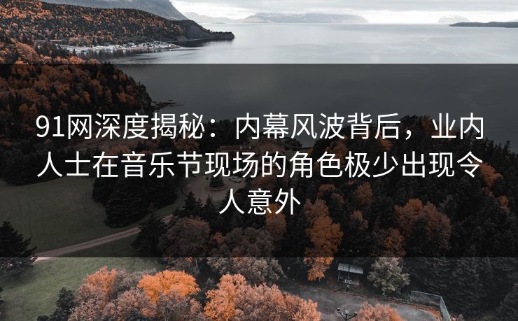 91网深度揭秘：内幕风波背后，业内人士在音乐节现场的角色极少出现令人意外  第1张